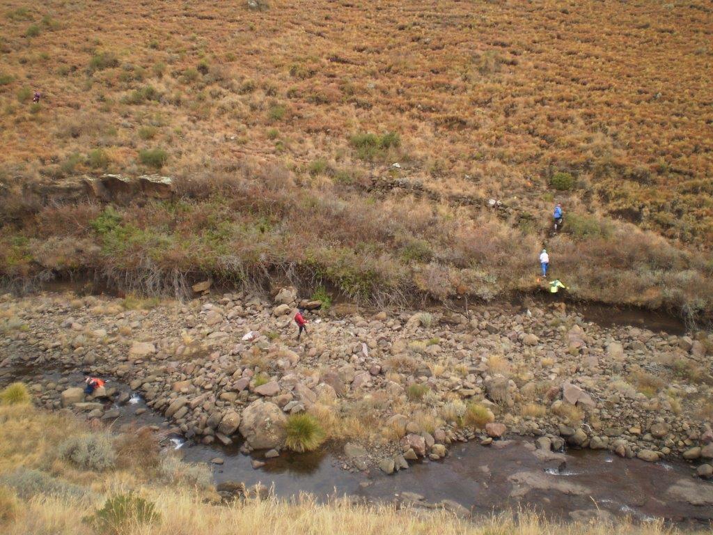 Anderson Rhodes Trail Run 6 July 2013 12