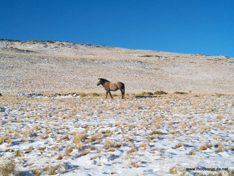 RhodesRun BorderRoad lightsnow